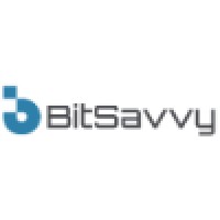 bitsavvy company logo